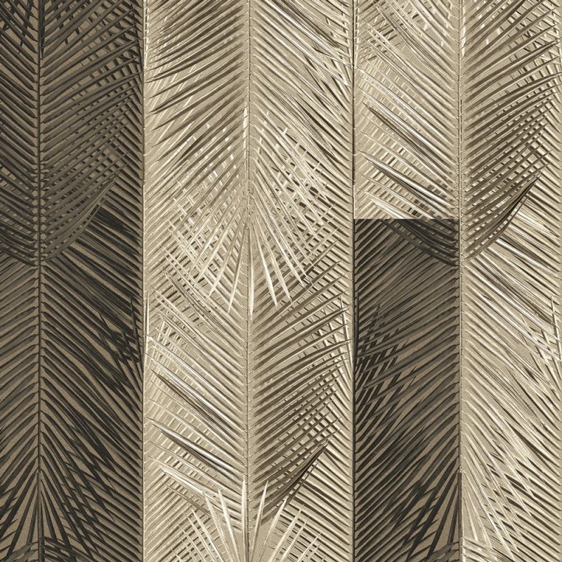 Rimura | Palms