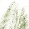 Rimura | Pampas