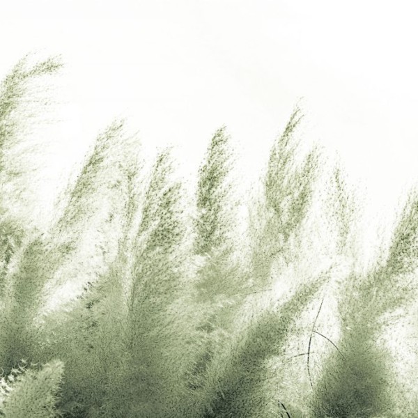 Rimura | Pampas