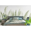 Rimura | Pampas
