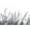 Rimura | Pampas