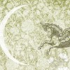 Rimura | Pegaso