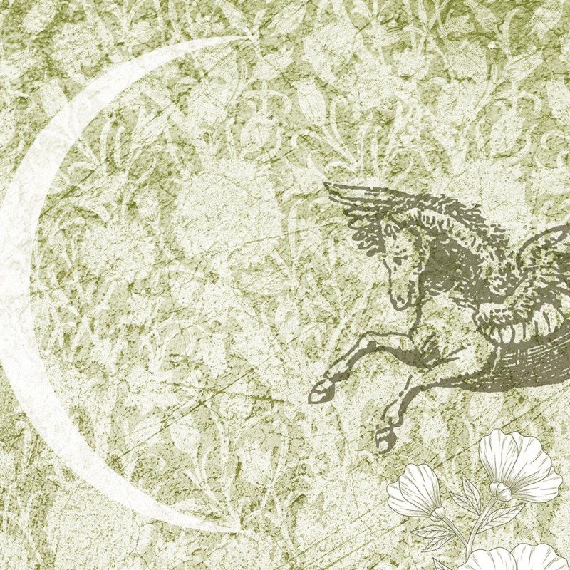 Rimura | Pegaso