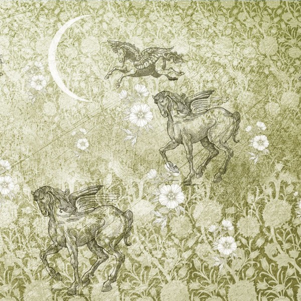 Rimura | Pegaso