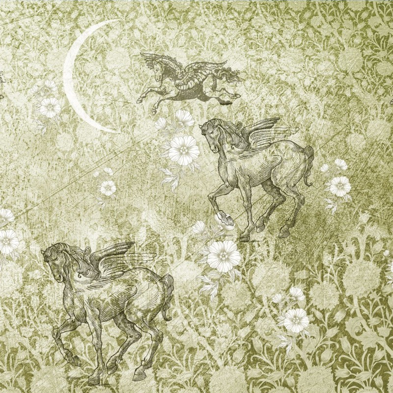 Rimura | Pegaso