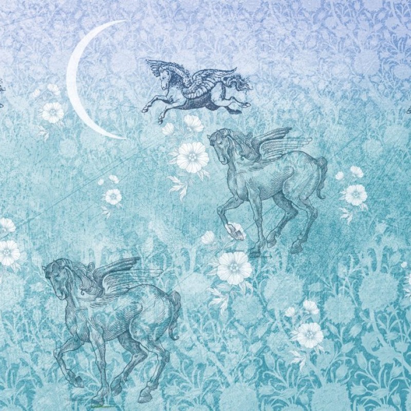 Rimura | Pegaso