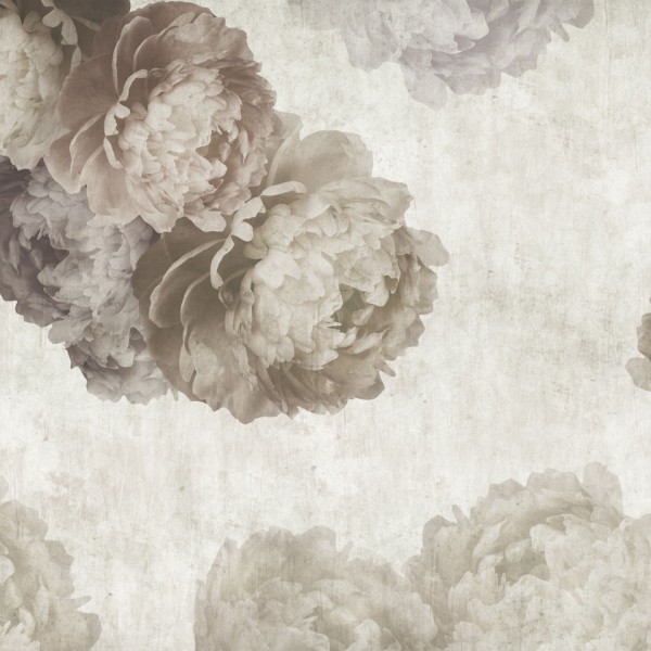 Rimura | Peonia