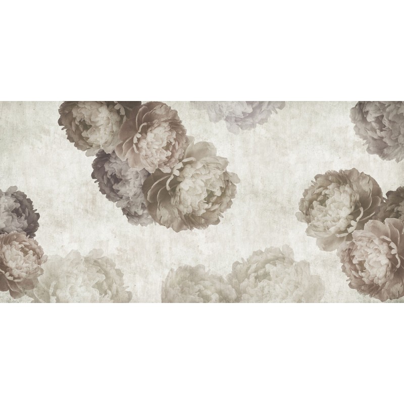 Rimura | Peonia