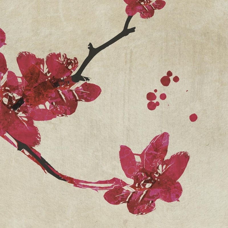 Rimura | Primavera
