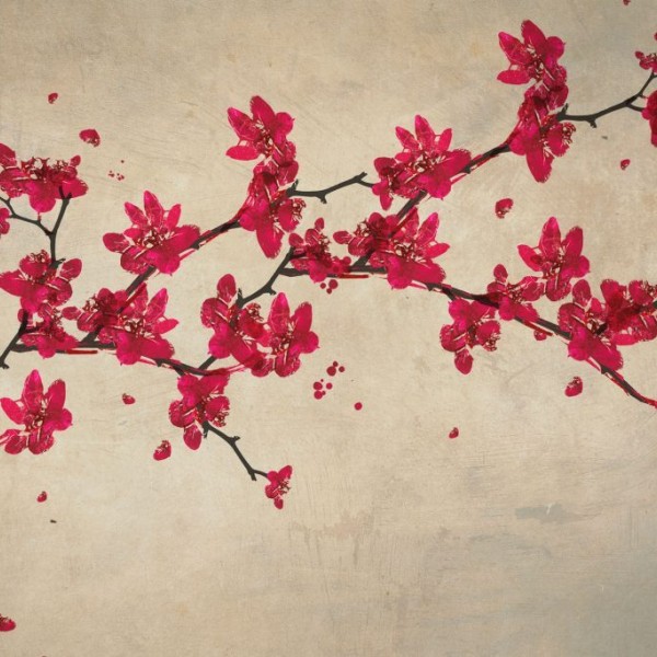 Rimura | Primavera