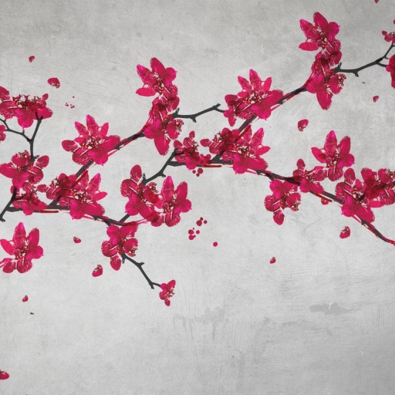 Rimura | Primavera