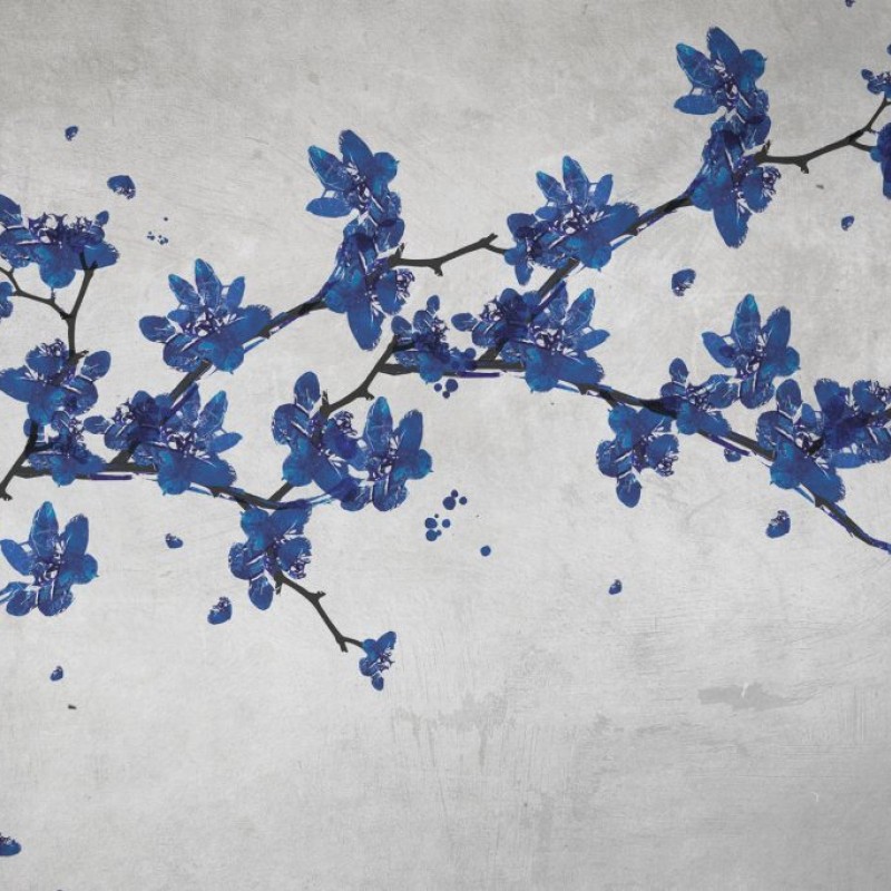 Rimura | Primavera