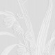 Rimura | Pure Blooms