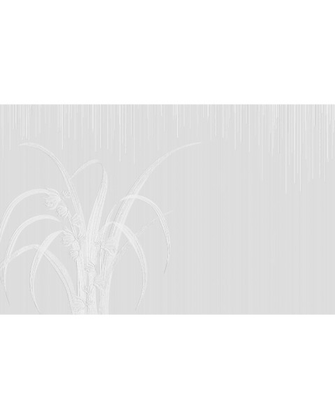 Rimura | Pure Blooms