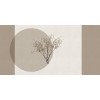 Rimura | Pure