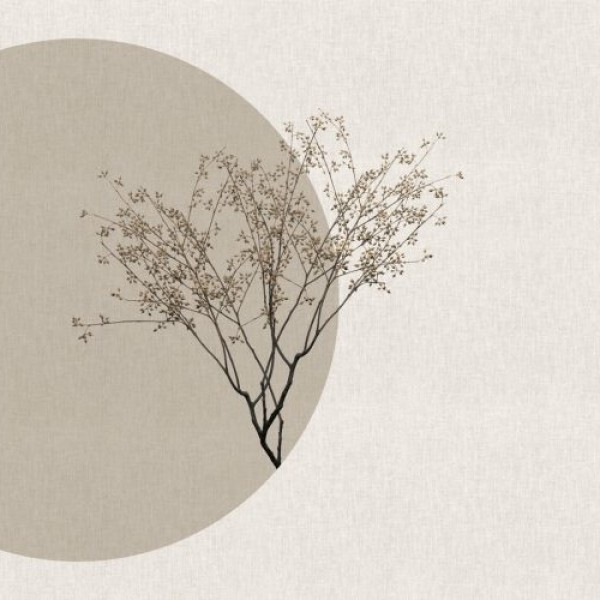 Rimura | Pure