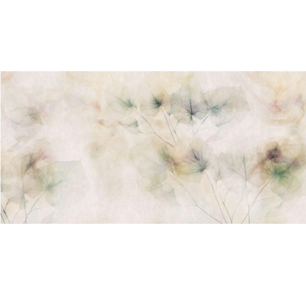 Rimura | Radiosa