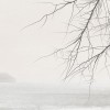 Rimura | Ramus