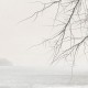 Rimura | Ramus