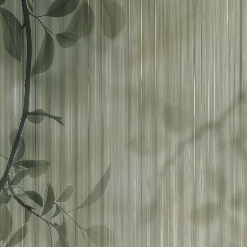 Rimura | Ray