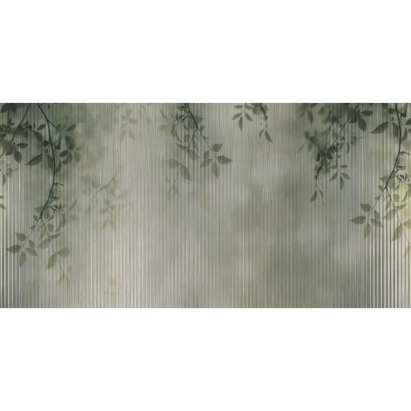 Rimura | Ray