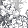 Rimura | Reef