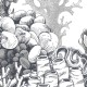Rimura | Reef