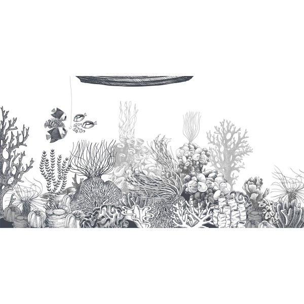 Rimura | Reef