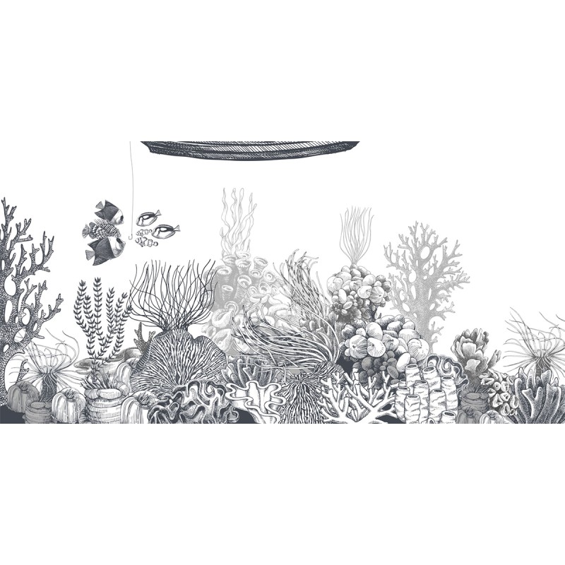 Rimura | Reef