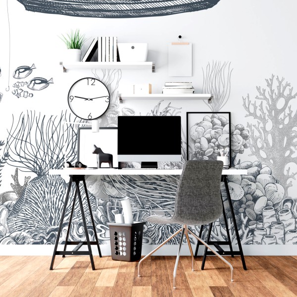 Rimura | Reef