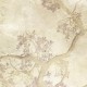 Rimura | Regarde les Fleurs