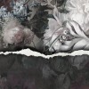 Rimura | Revelation