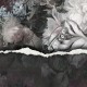 Rimura | Revelation