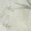 Rimura | Reverie 