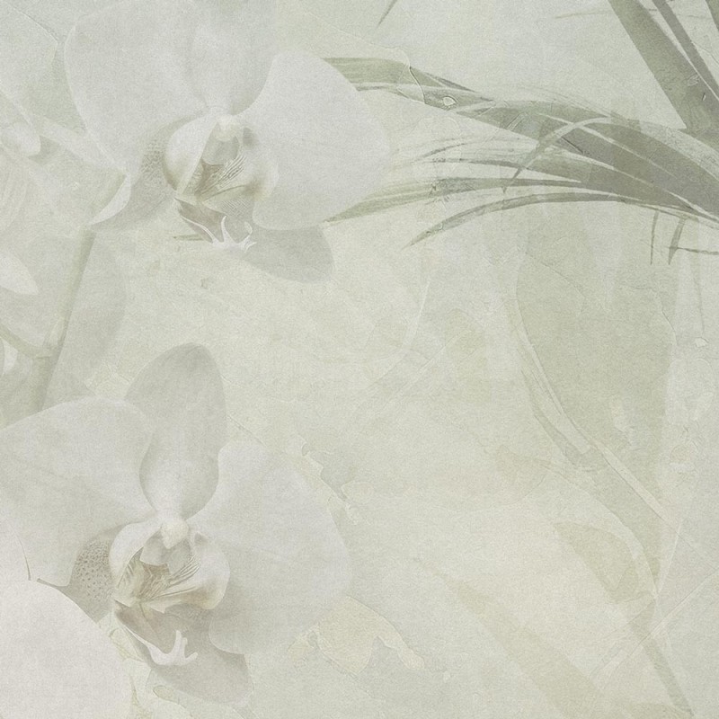 Rimura | Reverie 