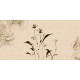 Rimura | Armonia 
