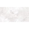 Rimura | Aurea