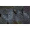 Rimura | Archetipo