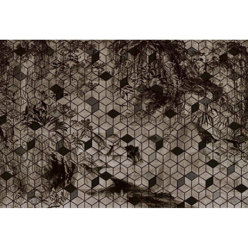 Rimura | Cube illusion