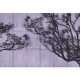 Rimura | Dafne