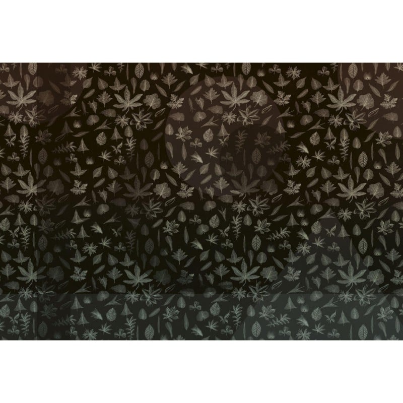 Rimura | Eclipse