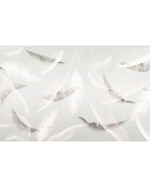 Rimura | Fluttua