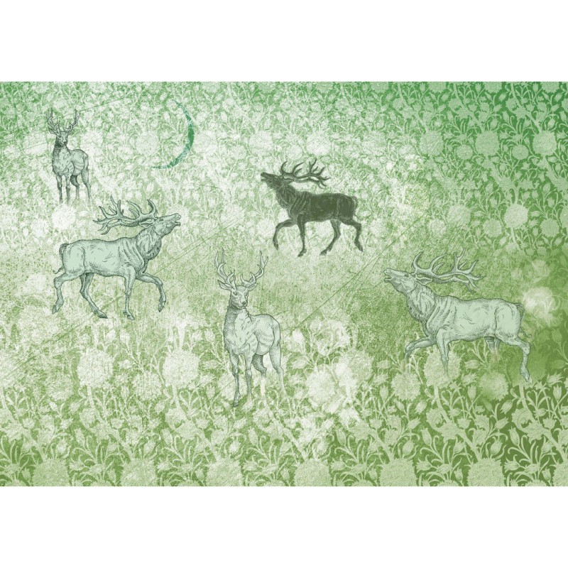 Rimura | Foresta