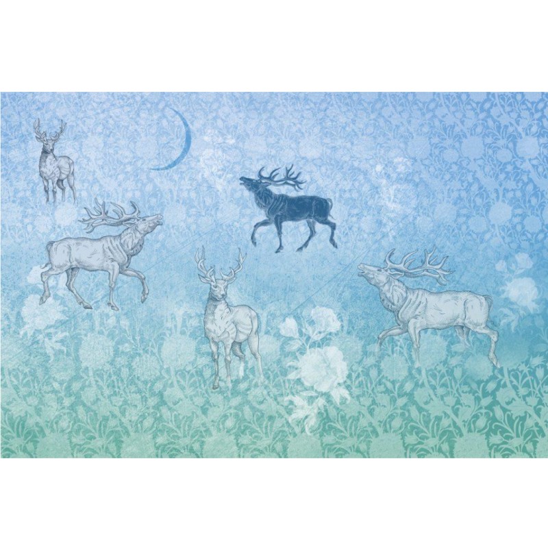 Rimura | Foresta