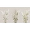 Rimura | Hedge
