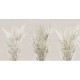 Rimura | Hedge