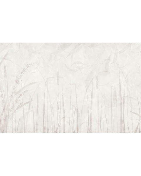 Rimura | Ivory
