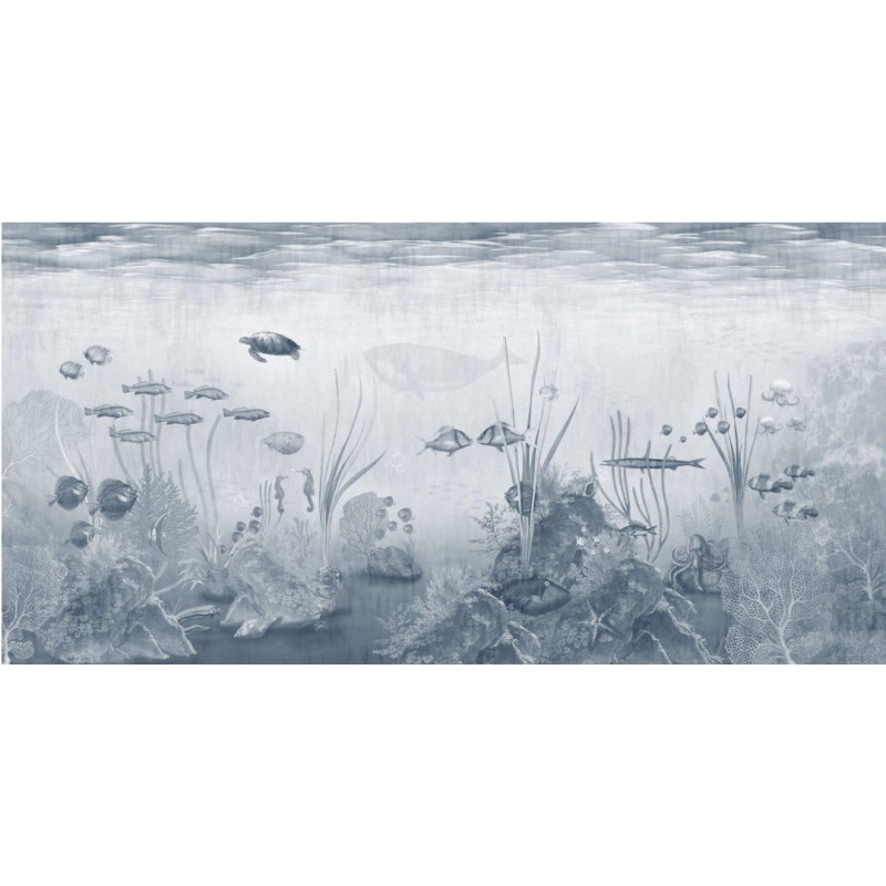 Rimura | Sail