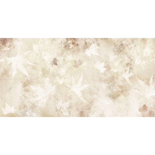 Rimura | Linfa