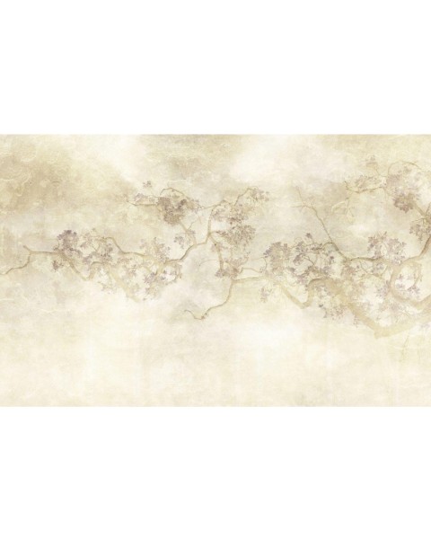 Rimura | Regarde les Fleurs